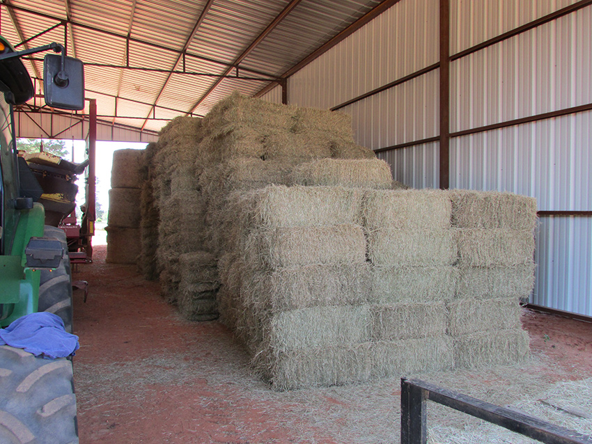 Hay-in-barn
